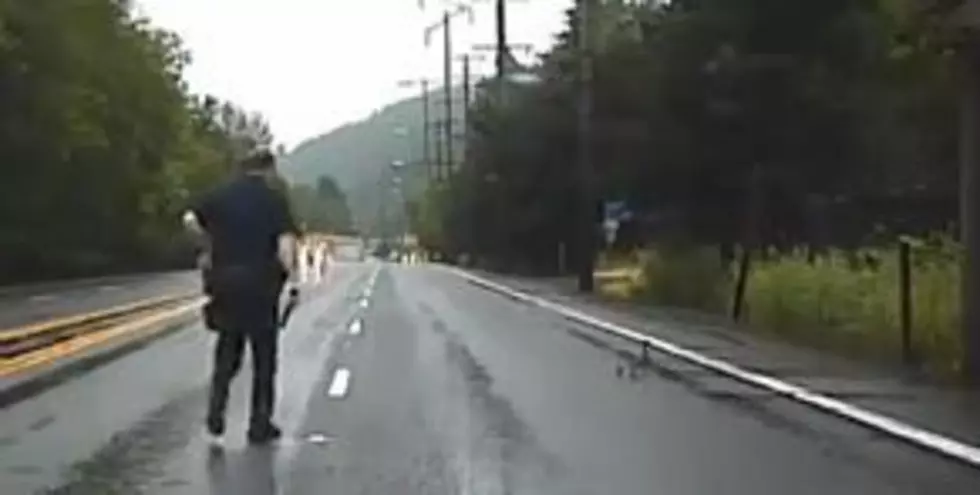 What the Duck? Quackers Interupt Police Chase [VIDEO]