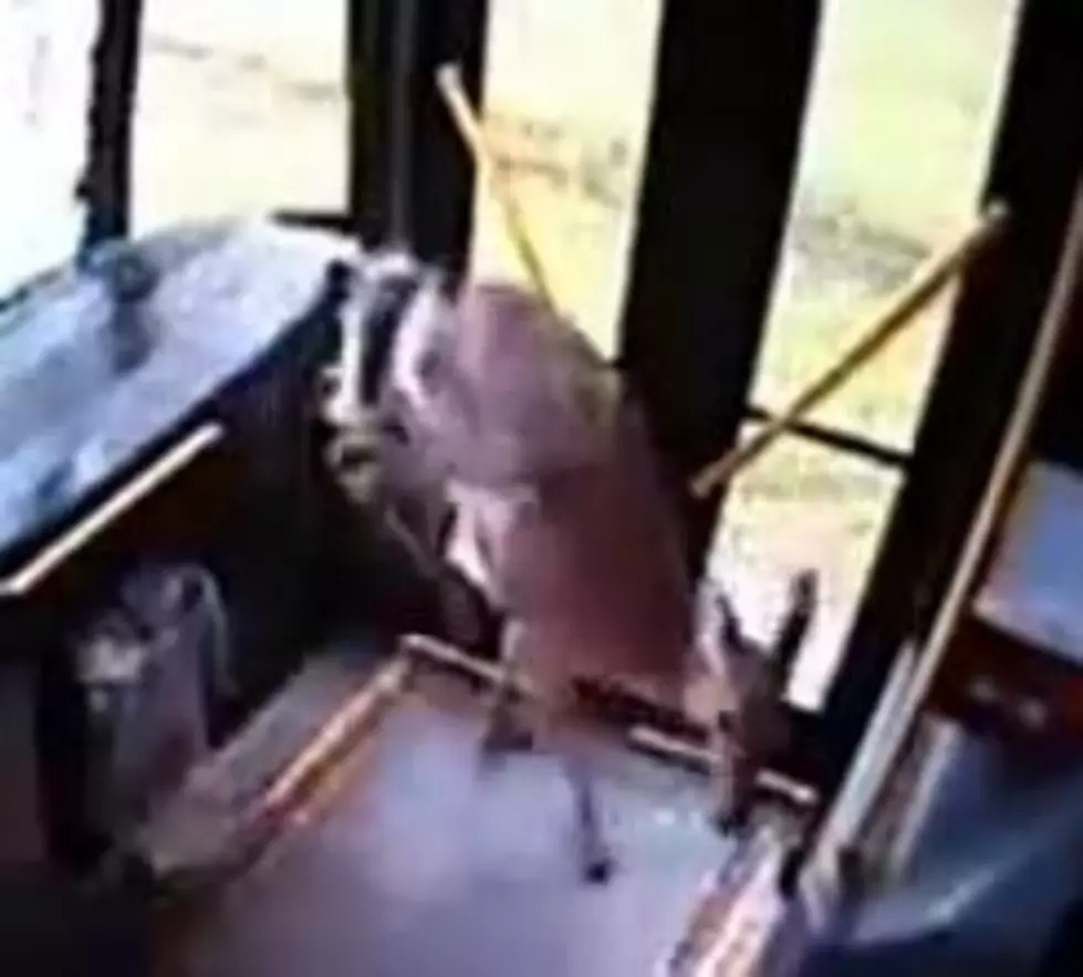 Deer Crashes Through Bus Window, Then Tries To Jump Back Out [VIDEO]