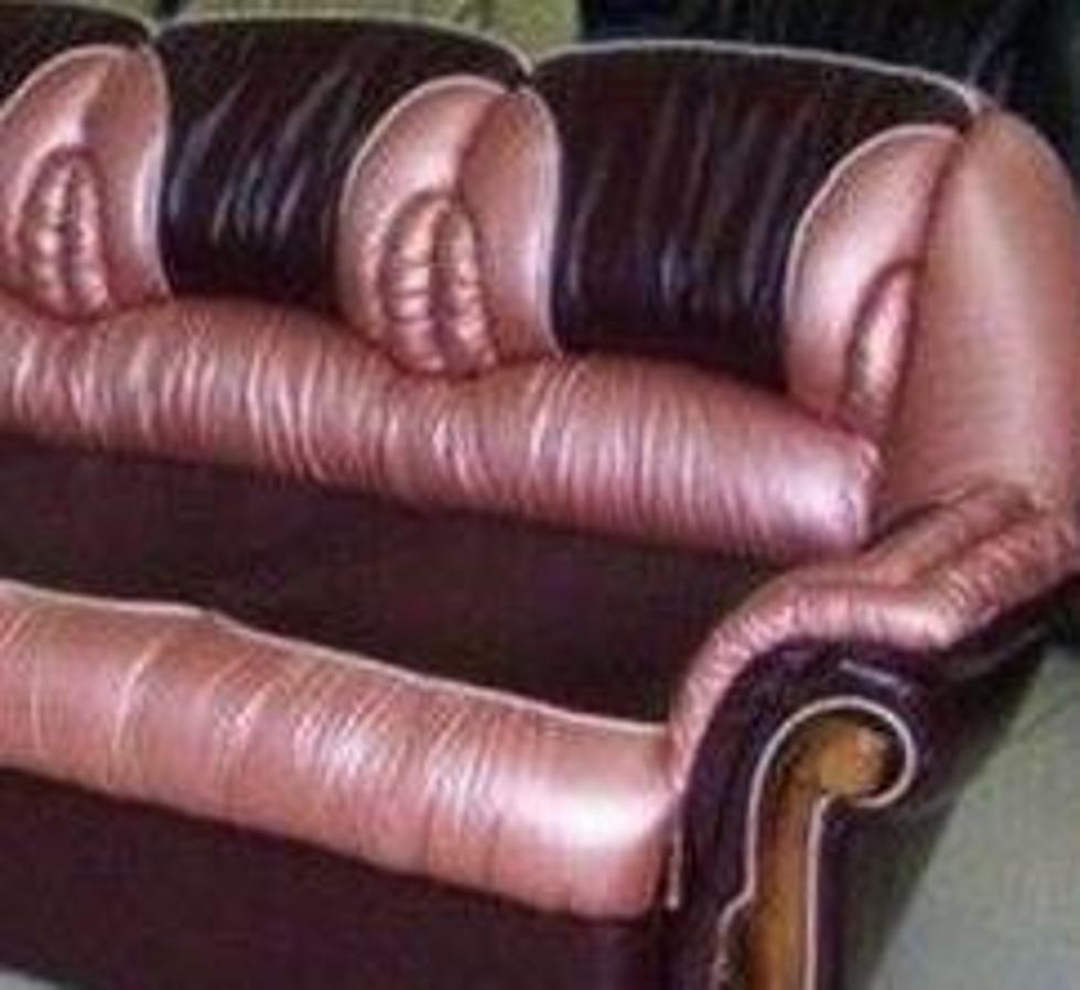 Camel Toe Couch For Sale On Detroit Craigslist