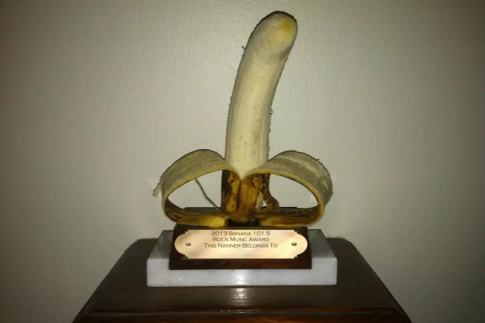 The 2013 &#8216;Nanners &#8212; Winners of the First Annual Banana Rock Music Awards