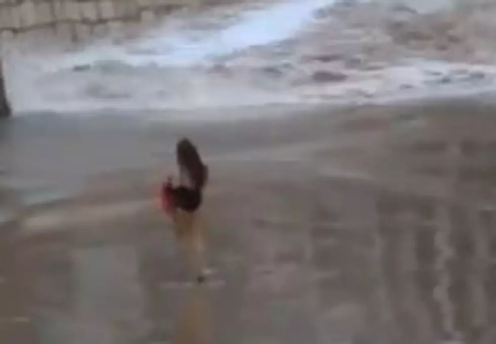 Dancing Woman Swept Away By Wave [VIDEO]