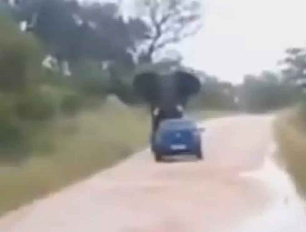 Elephant Flips Over Car [VIDEO]