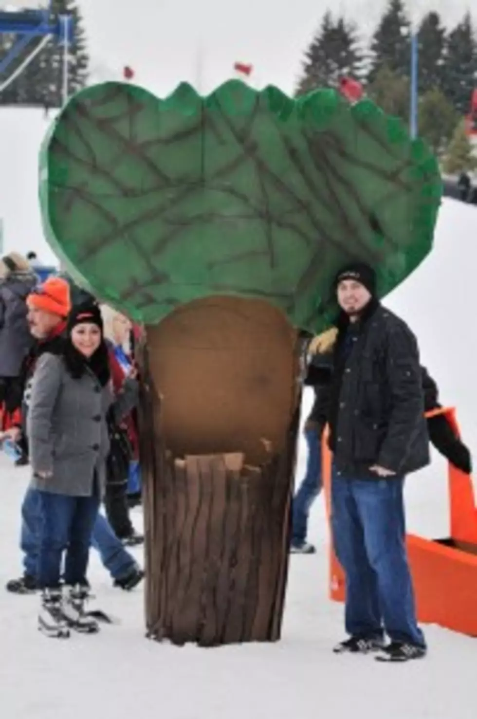 Tree&#8217;s Cardboard Classic Sled Probably Won&#8217;t Look Like a Penis This Year&#8230; Probably [PHOTOS]