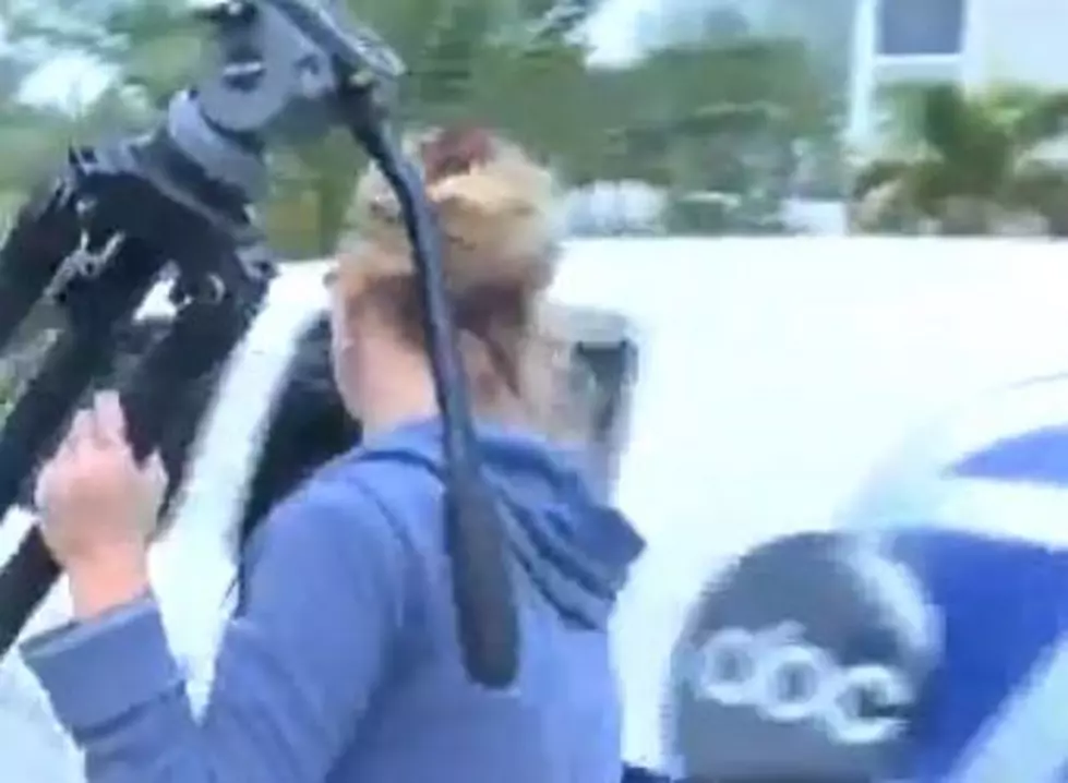 Woman Steals ABC Reporter&#8217;s Car on Camera [VIDEO]
