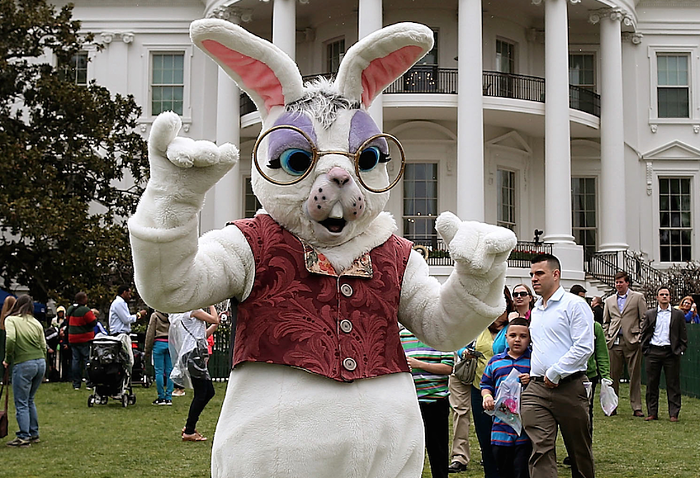 Michigan Man Accused of Fondling the Easter Bunny