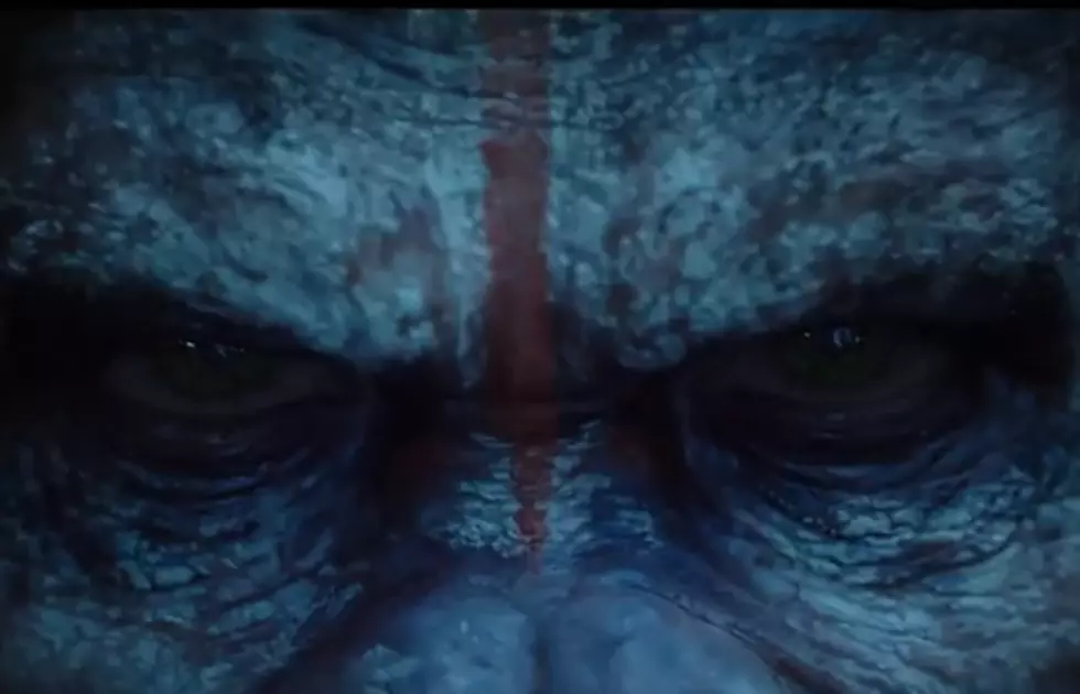 &#8216;Dawn of The Planet of The Apes&#8217; Trailer Looks Killer [VIDEO]