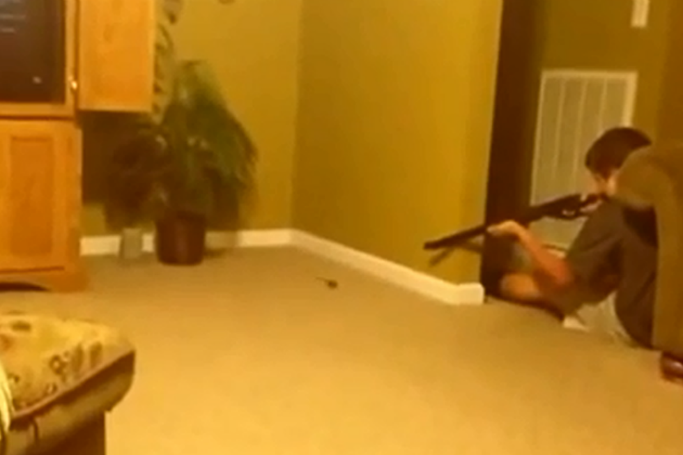 Boy Attempts to Shoot Mouse With BB Gun…Mouse Wins [VIDEO]