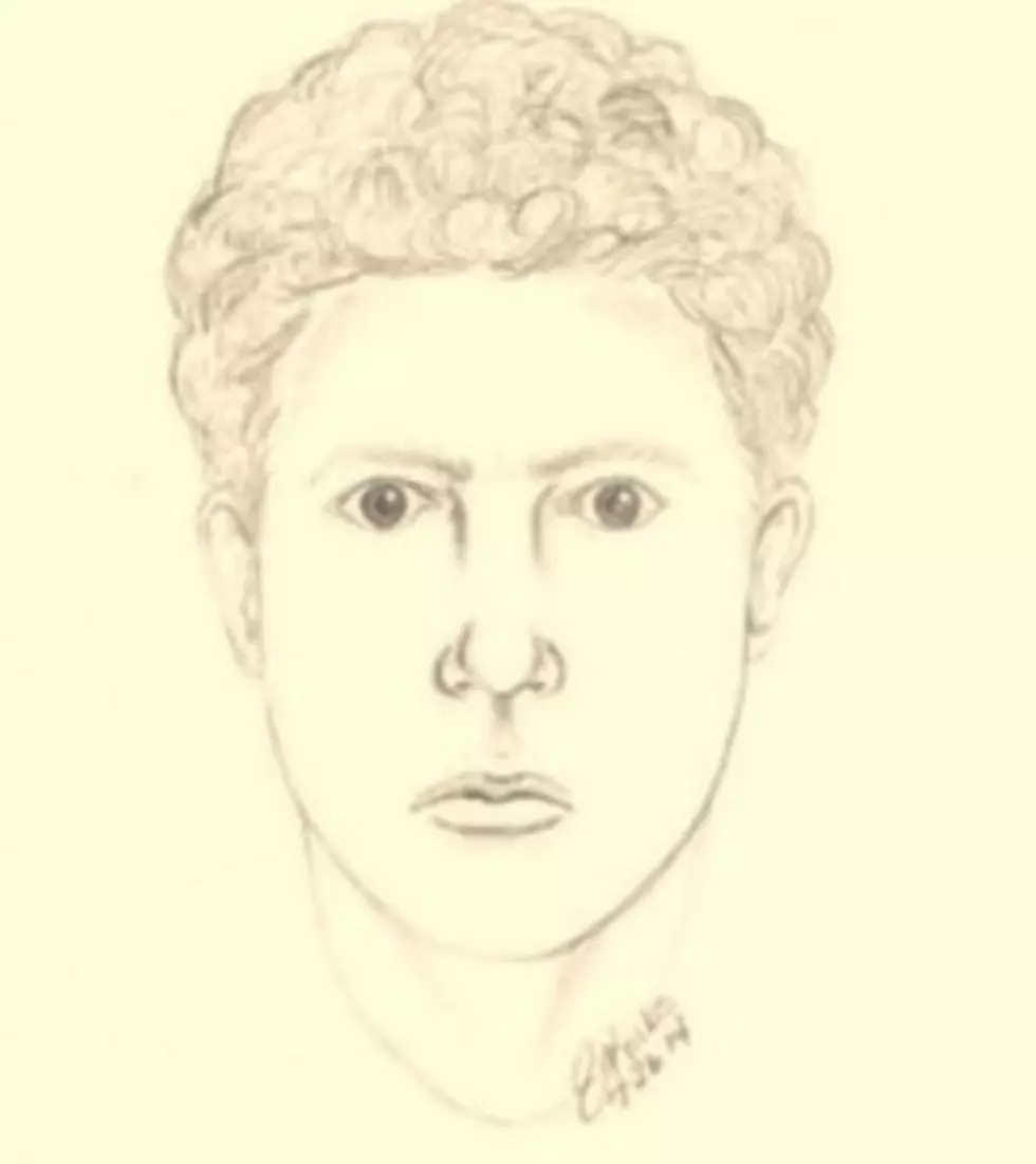 Michigan State Police Release Sketch of &#8216;Person of Interest&#8217; In Armada Girl&#8217;s Death