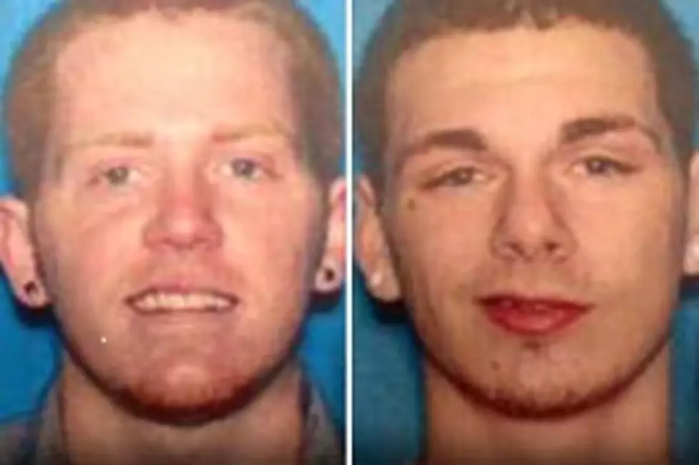 Two Men Charged For Bringing Stolen Guns Into Genesee County [VIDEO]