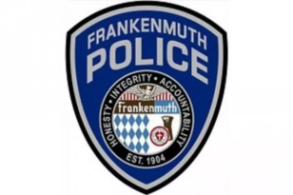 Frankenmuth Police Searching For Assault Suspect