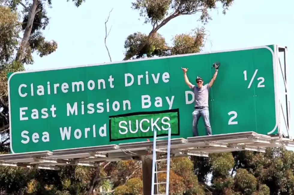 Steve-O Attacks Sea World Sign On Side Of Highway [VIDEO]