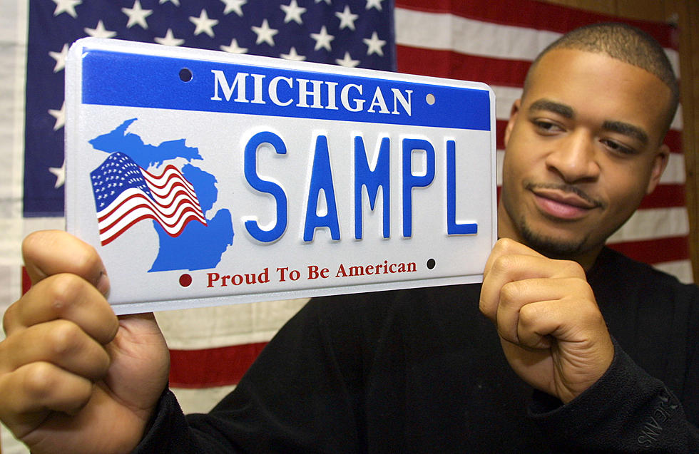 Personalized License Plates in Michigan About to Get Interesting?