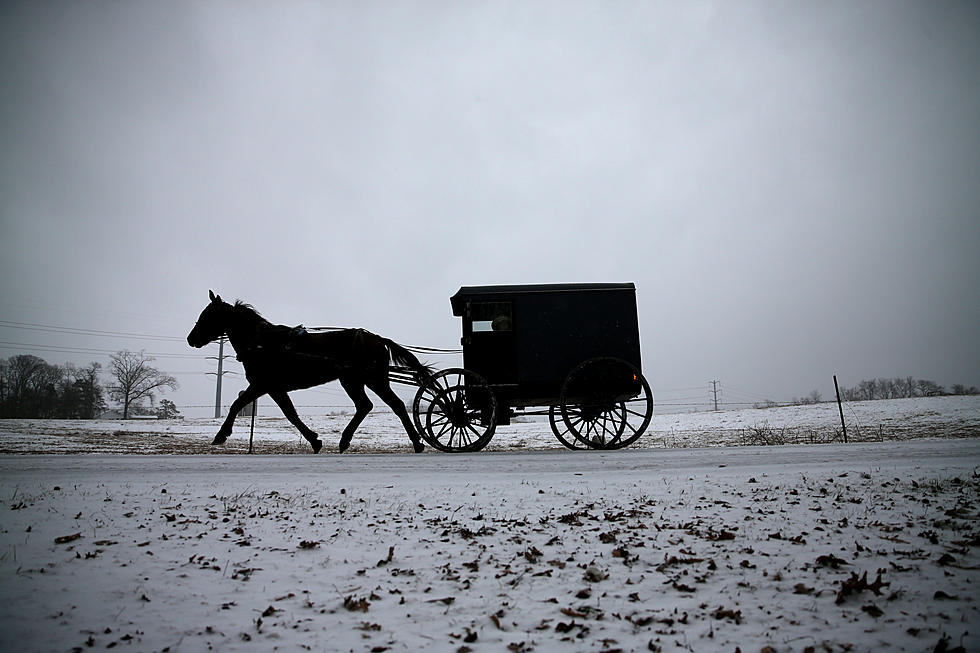 MI Amish Paradise Gets Gangsta