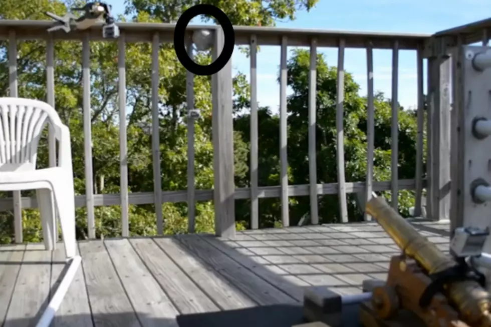 Guy Removes Bee’s Nest On Porch With A Canon [VIDEO]
