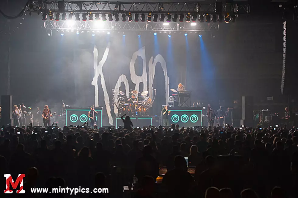 Korn &#8212; Banana Birthday Bash 2014 [PICS]