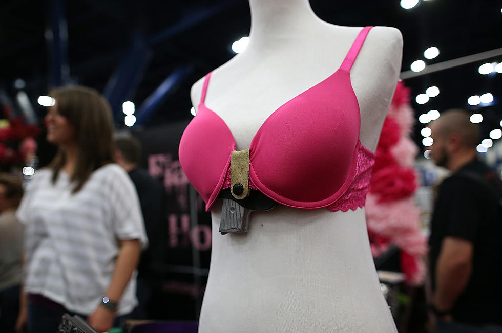 Michigan Lawmaker Fatally Shoots Herself In the Face Adjusting Bra Holster
