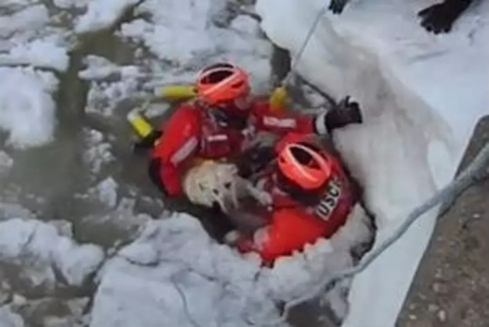 Michigan Coast Guard Rescues Dog From Icy Waters [VIDEO]