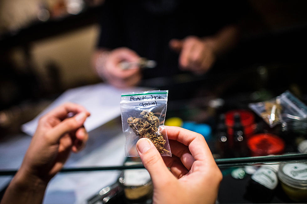 Legalized Marijuana Could Improve Michigan Communities