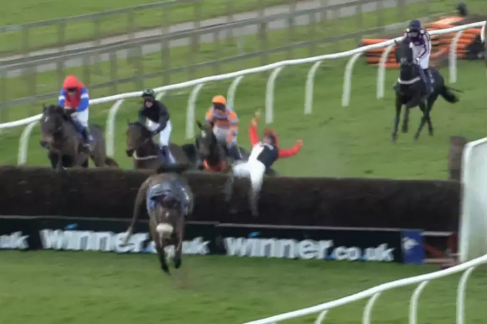 Jockey Jumps Off Horse During Race, Slams Into Hurdle [VIDEO]