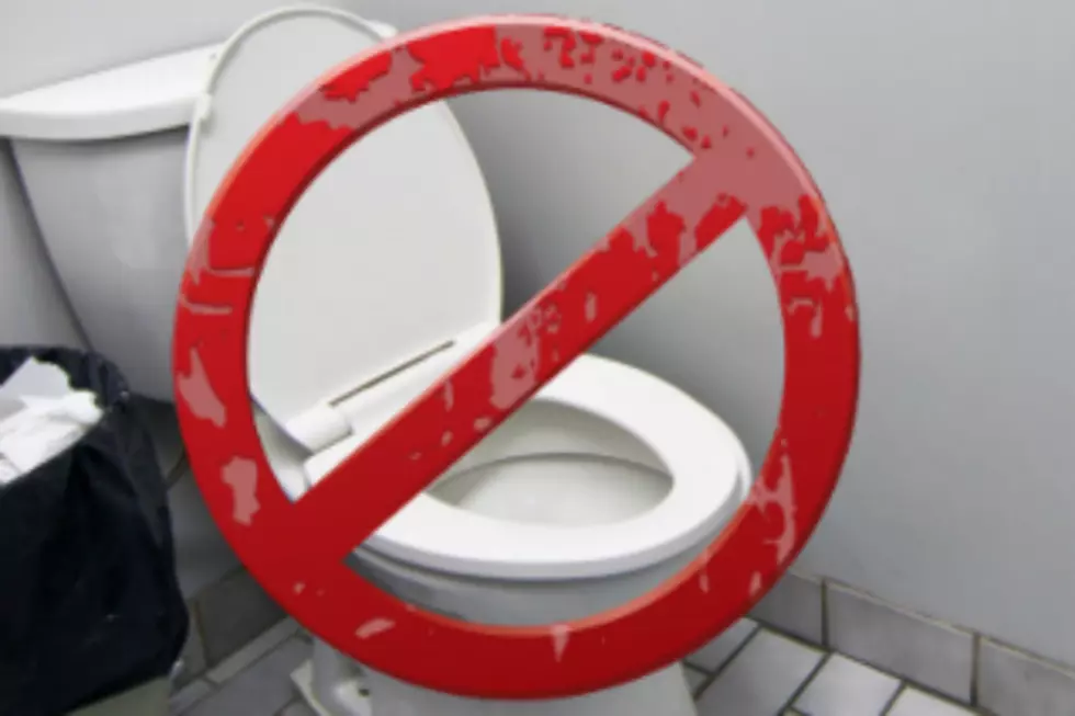 Ladies, It&#8217;s Time to Fight for Toilet Seat Equality [OPINION]