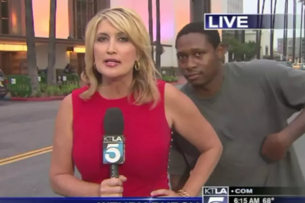 Videobomber Freaks Out News Reporter On Live TV [VIDEO]