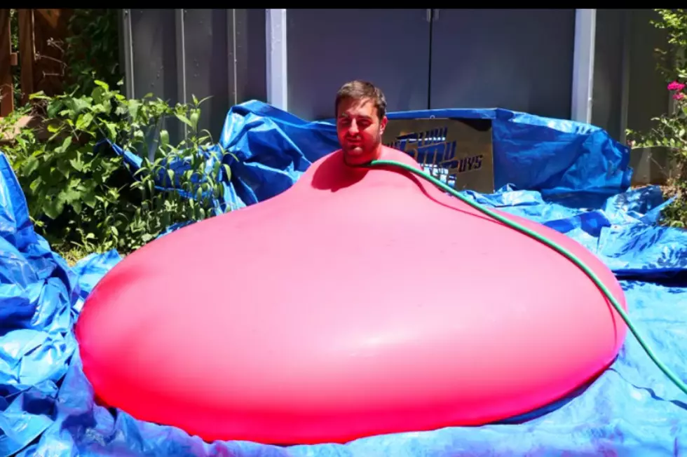Human Water Balloon! 6ft Tall Man Inside 6ft Balloon [VIDEO]