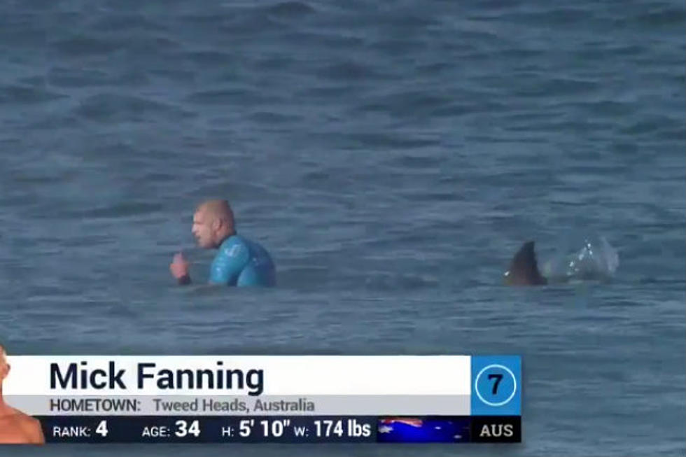 Pro Surfer Mick Fanning Attacked By Shark During Competition [VIDEO]