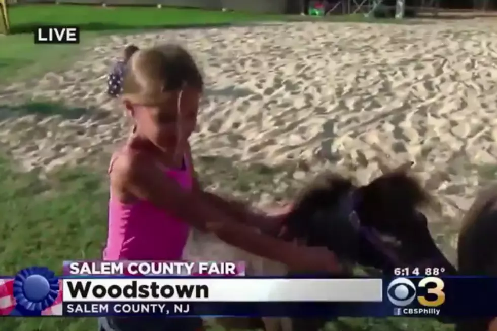 Little Girl Kicked By Pony On Live TV [VIDEO]