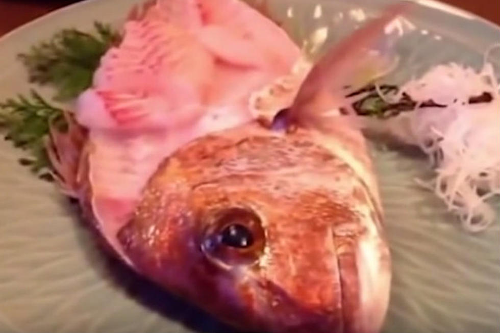 Fish Comes Back To Life After Being Eaten At Restaurant [VIDEO]
