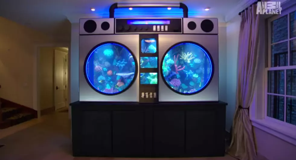 Money &#8211; It Can Buy You A Boom Box Fish Tank [VIDEO]