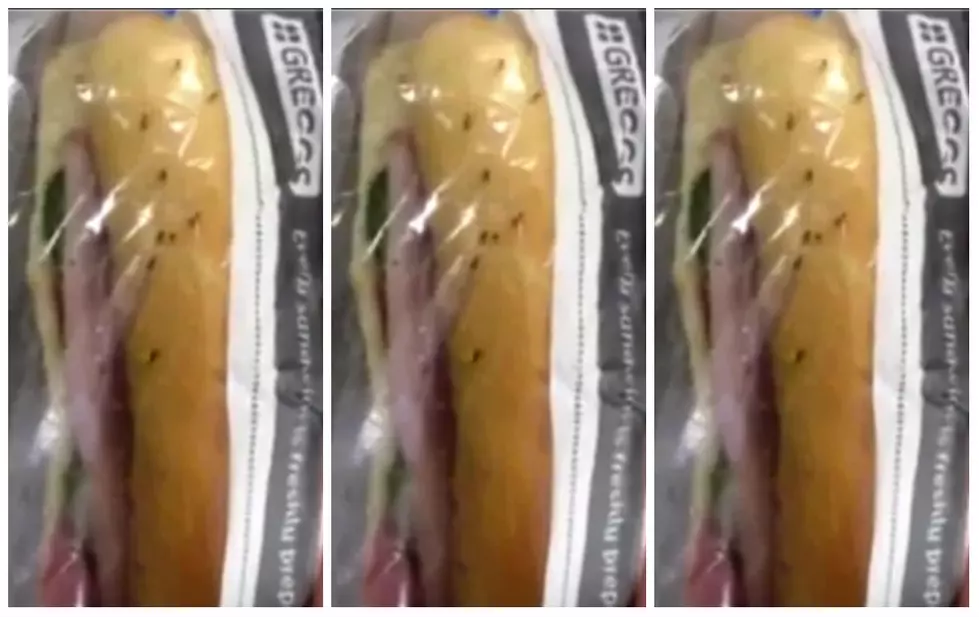 This Sandwich Will Kill Your Over Eating Appetite [VIDEO]