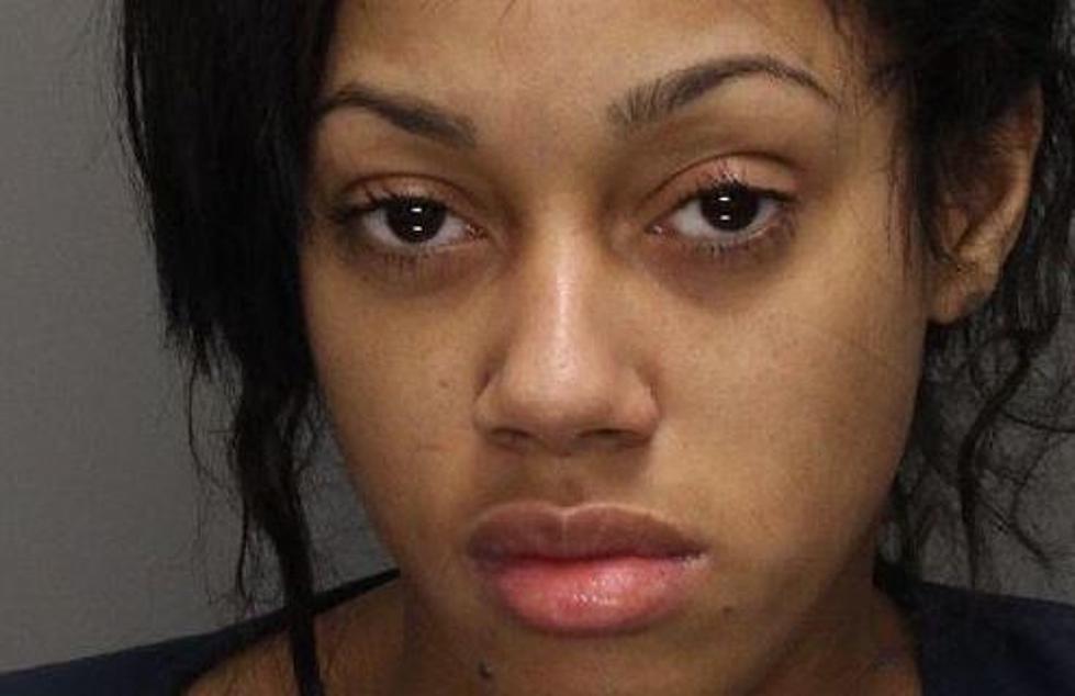 Woman Charged After Novi Officer Was Dragged During Traffic Stop [VIDEO]