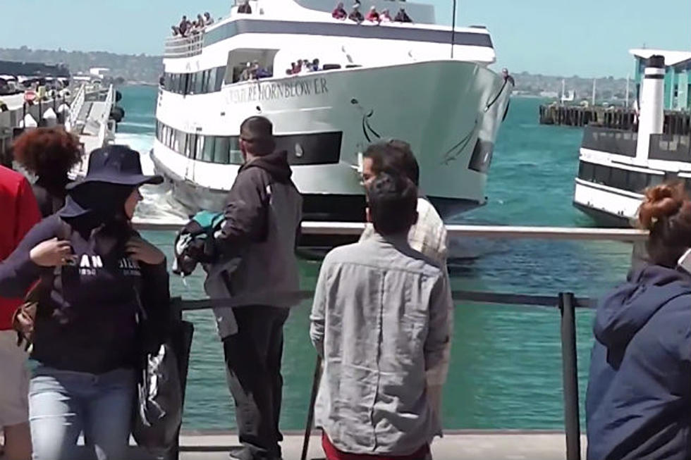Whale Watching Boat Crashes Into Dock In San Diego [VIDEO]
