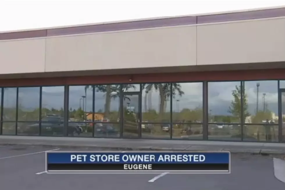 Pet Owner Pays Prostitute With Girl Scout Donation Money and a Monkey [VIDEO]