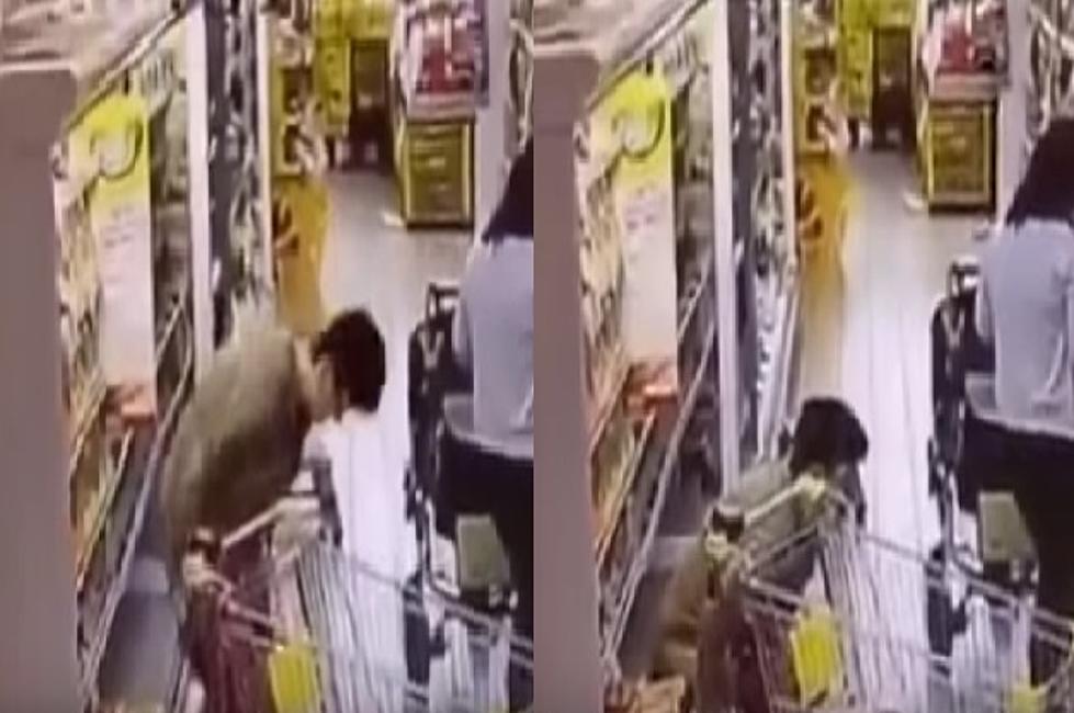 Lady Pulls Down Her Pants and Does the Unthinkable in the Supermarket [VIDEO]