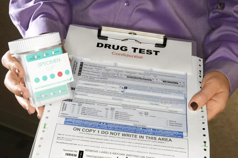 Michigan’s Welfare Drug Testing Trial Results are Surprising [OPINION]