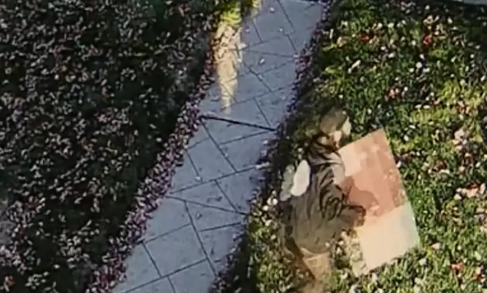 Detroit Thief Caught on Camera Stealing a Package from a Woman’s Porch [VIDEO]