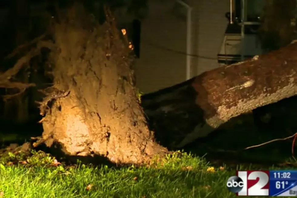 Strong Storms Cause Damage Through Out Genesee County [VIDEO]