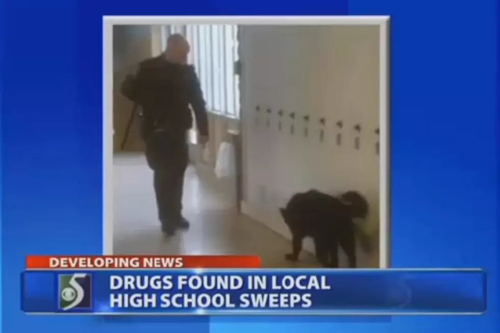 Sheriff&#8217;s Office Conduct Drug Sweeps In Michigan High Schools [VIDEO]