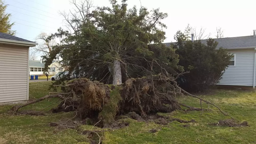 Windpacalypse – Wind Storm Damage In And Around Genesee County [PHOTOS]