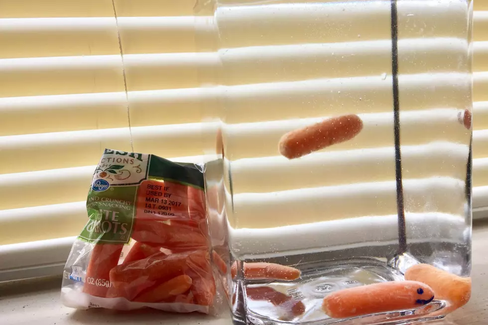 Greatest Prank Ever- Brother Replaces Sister&#8217;s Goldfish With Baby Carrots [VIDEO]