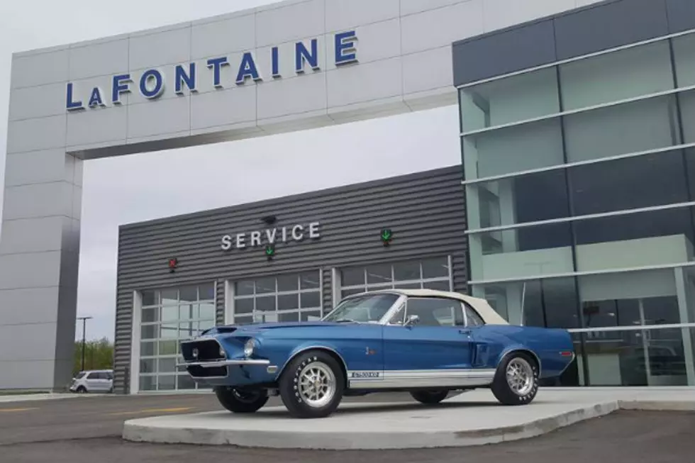 State Of The Art Auto Dealership Opens In Birch Run [VIDEO]