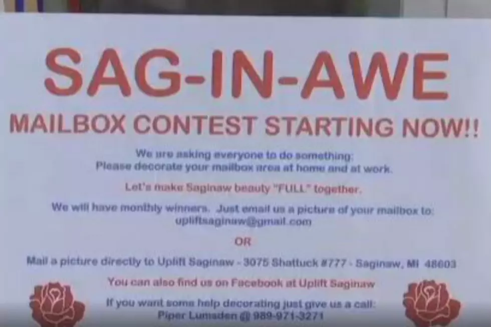 Saginaw Holds Mailbox Decorating Contest To Spruce Up Neighborhoods [VIDEO]