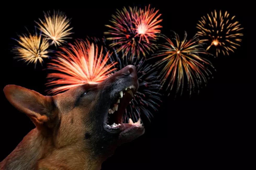 I Know Your Dogs Hate Fireworks, I Just Don’t Care [OPINION]