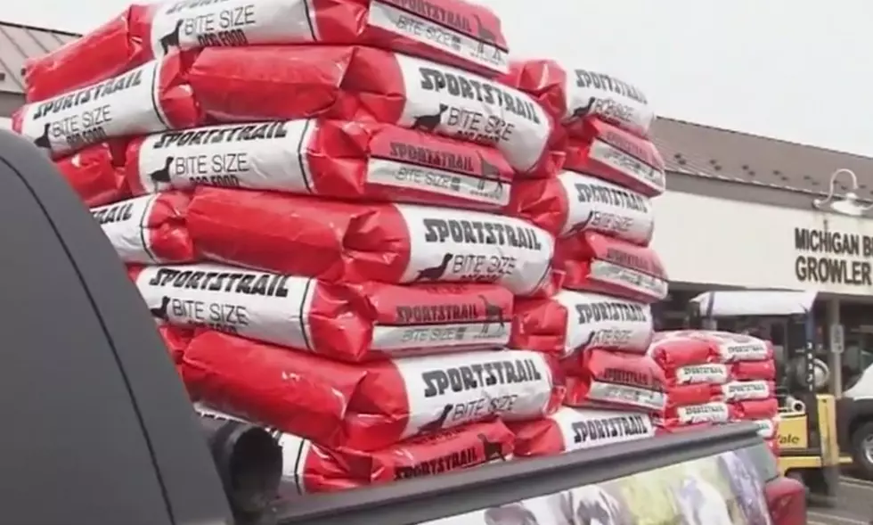 MI Pet Shop Owner Donates 25,000 POUNDS Of Food To Local Animal Rescues [VIDEO]