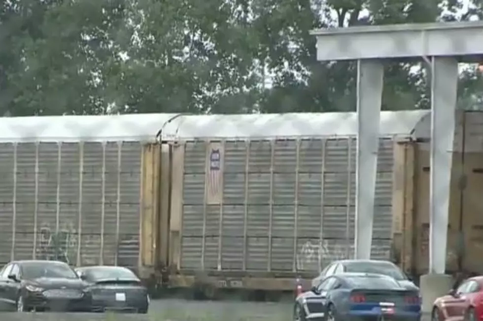 Almost 300 Pounds Of Pot Found At Michigan Ford Rail Distribution Facility [VIDEO]
