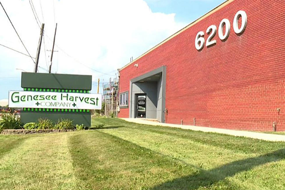Fang Raids  Genesee Harvest Medical Marijuana Dispensary in Flint [VIDEO]