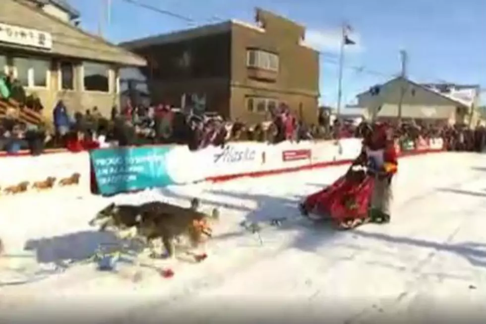 Gladwin Woman To Race In The Iditarod [VIDEO]
