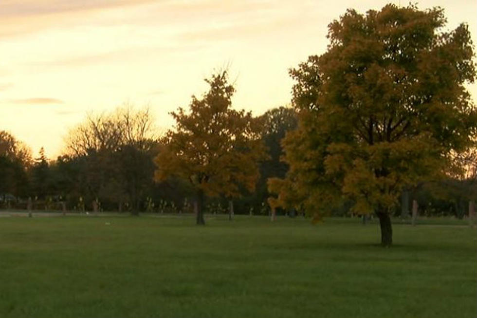 Human Remains Found in Broome Park, Flint [VIDEO]