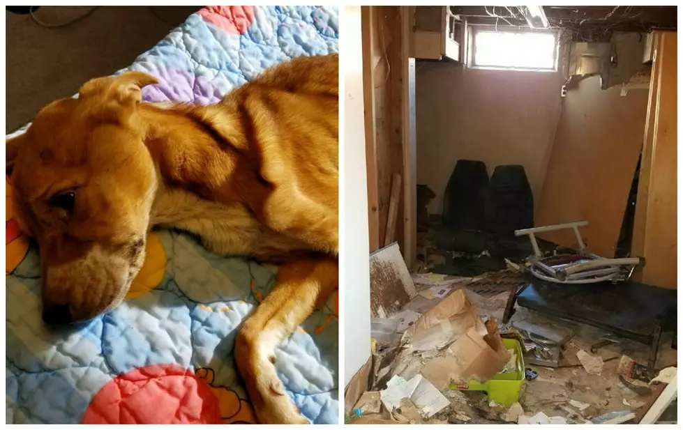 Two Flint Residents Charged With Animal Killing and Torture [GRAPHIC IMAGES]